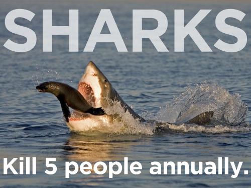 Un haizivis Tās nogalina... Autors: janismilannu 20 Lietas, kas nogalina biežāk nekā haizivis