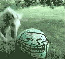 Scaronis man patīk vissvairāk... Autors: laxboy ak šie gifi :D