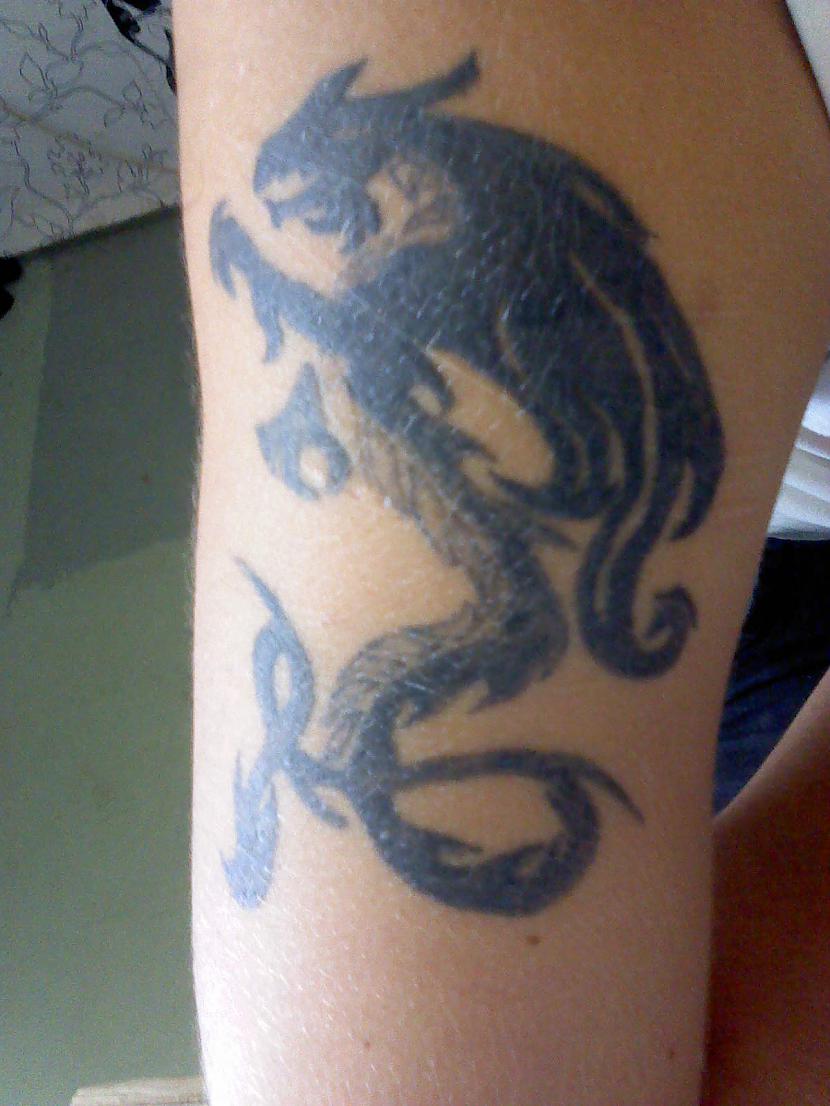 Tetovējums Drakons pats... Autors: kaķūns Spoki.lv lietotāju tattoo 2