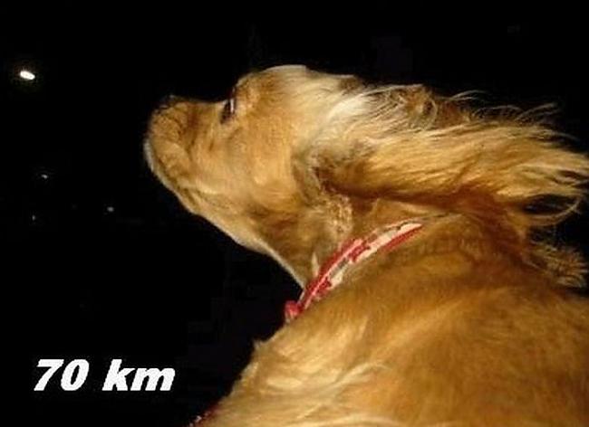 70 kmh Autors: Aresa Suns un vējš
