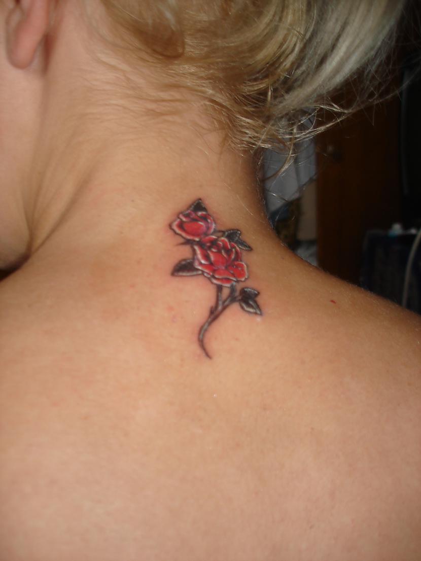 kriksislanbsp Hmmm shis ir... Autors: kaķūns Spoki.lv lietotāju tattoo #3