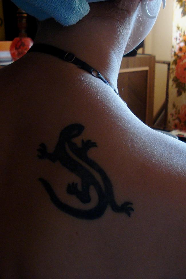 darkfacenbsp Īstenībā brīnos... Autors: kaķūns Spoki.lv lietotāju tattoo #3