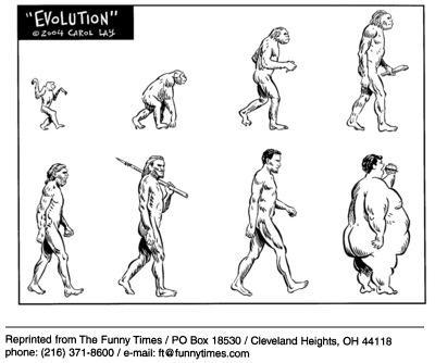  Autors: Jānko177 Evolūcijas  plus c.s1.6