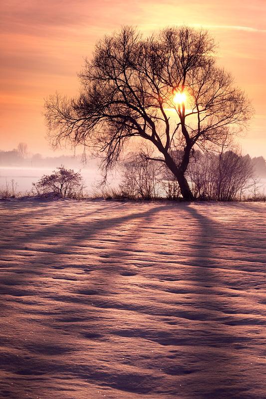Man patīk ziemas rīti kad... Autors: Fosilija Visums.