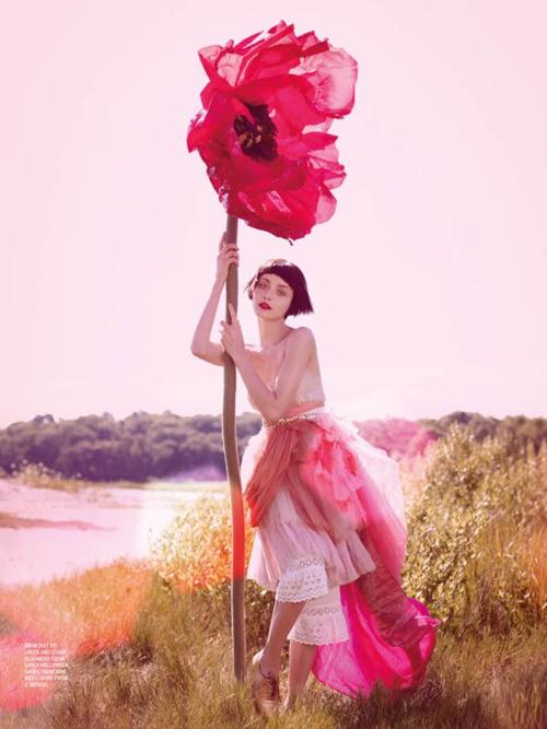  Autors: Rencixx Pretty in pink.