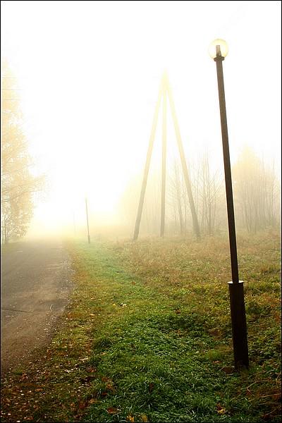  Autors: Rakoons Rīta migla (Es fotogrāfēju 3)