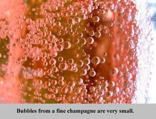 Laba šampānieša burbuļi ir... Autors: Meginātors Pāris interesanti fakti !!!Tagad ar tulkojumu !!