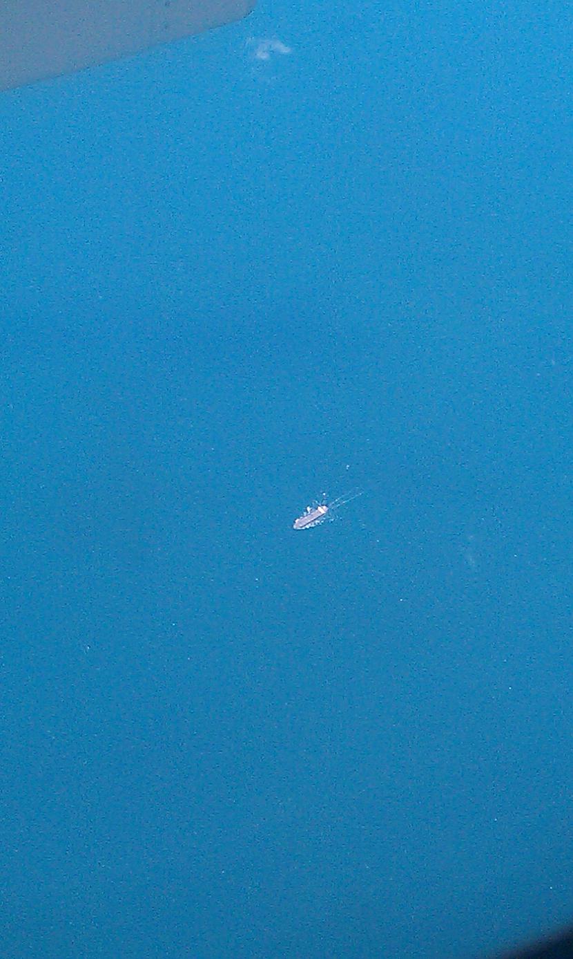 Kuģīts jūrā tik maziņš un... Autors: hizy Bildes no 8km augstuma :)