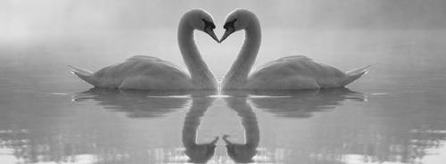  Autors: tedisdina love