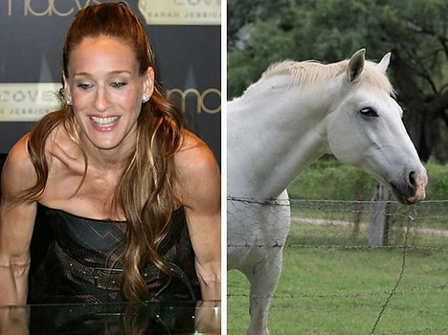 Sarah Jessica Parker Horse Autors: Foxmens Slavenibas un zveri