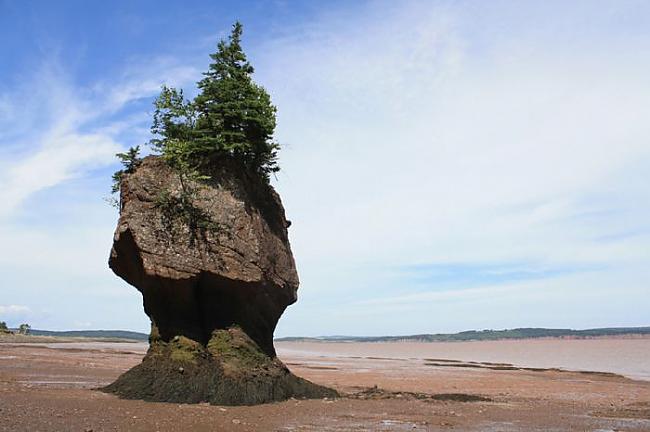 Fundy Bay Kanāda Autors: pofig Dīvainākās akmeņugrēdas pasaulē
