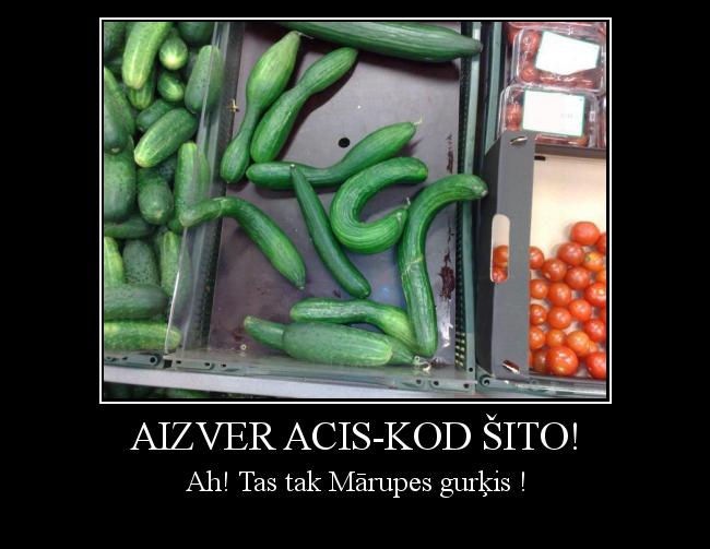 Autors: esesmumō Aizver acis-kod šito!