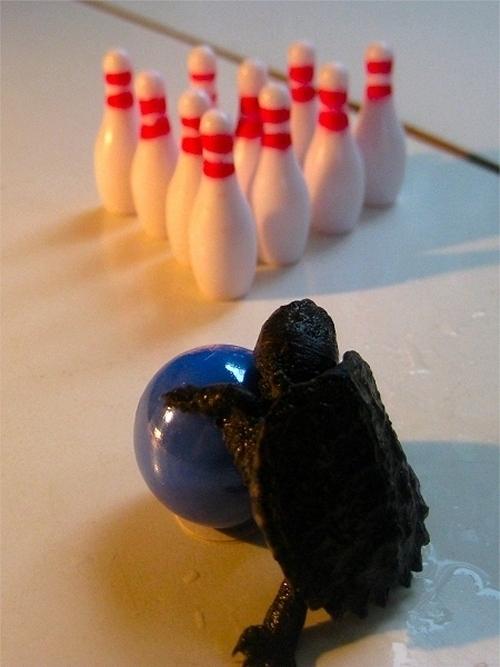 Spēlē bowlingu Autors: Kupcis Cilvēcīgi