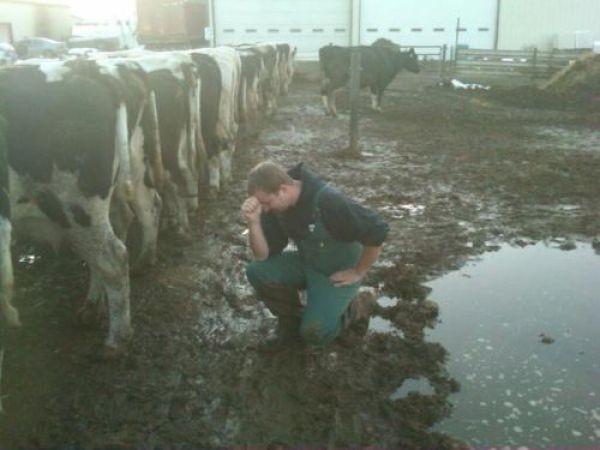 Thinkings Autors: gurķmaize Zivtings...