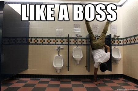 Par WC job neaizmirsties like... Autors: murmulis13 Like a boss izlase.