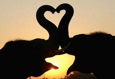 5 Autors: ashantyy Love:*