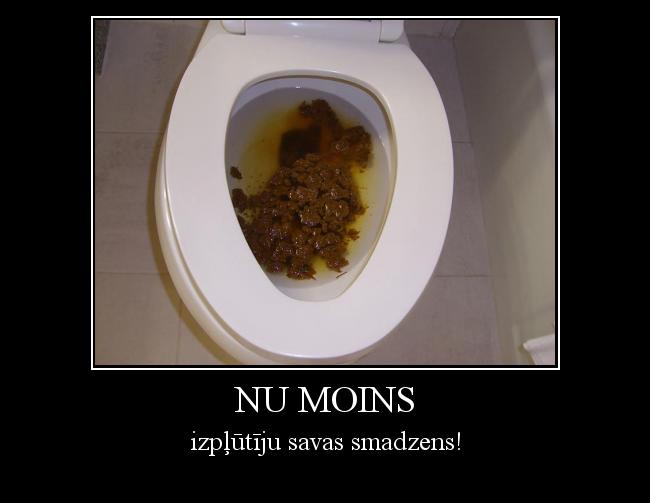  Autors: emilsbog33 Nu moins