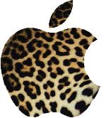  Autors: betinjaa19 Tur kur leopards. ;]
