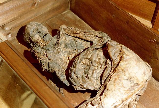 The Hildremose Woman  atrasta... Autors: Fosilija Senie purvu ķermeņi