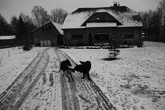 Lai vai kā bet vienmēr ir... Autors: LācisPūks Dari, ko mīli, mīli, ko dari- foto&stāsti.