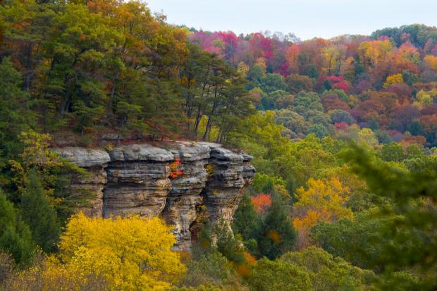 Cliffs with fall color in... Autors: wodka Dabas skati VOL 1