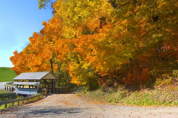 covered bridge with fall... Autors: wodka Dabas skati VOL 1