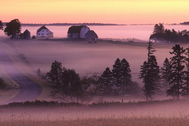 Farm in morning mist Clyde... Autors: wodka Dabas skati VOL 2