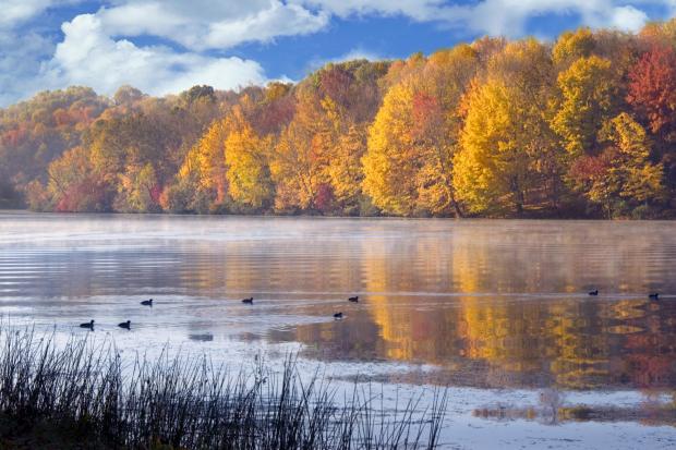 Lake with ducks and fall... Autors: wodka Dabas skati VOL 2