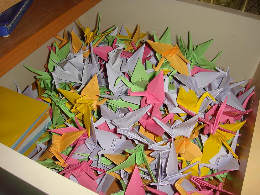 Apmēram 200 dzērvītes Autors: Nobuko 1000 origami dzērvītes.(hand made)
