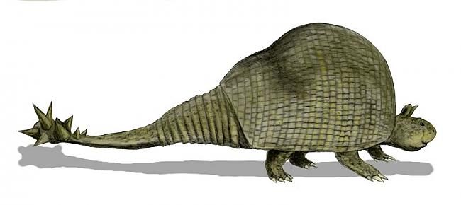 Glyptodon bija bruņnesim... Autors: LielaisLempis Kad mūsu vēl nebija