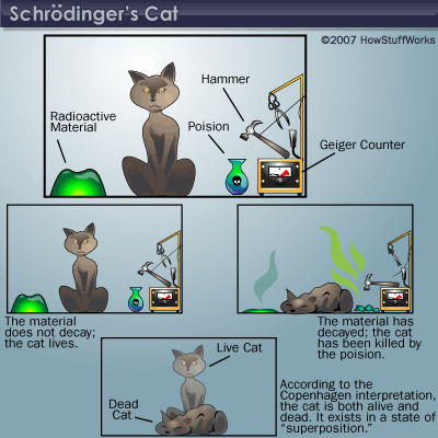 Scaronrēdingera kaķisScarono... Autors: Moonwalker 7 dīvainas parādības fizikā