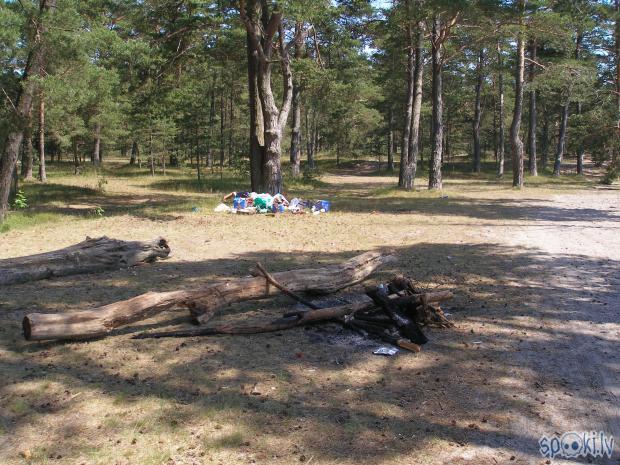  Autors: plutons Svētdienas pastaiga gar Gaujas krastu līdz ietekai jūrā.