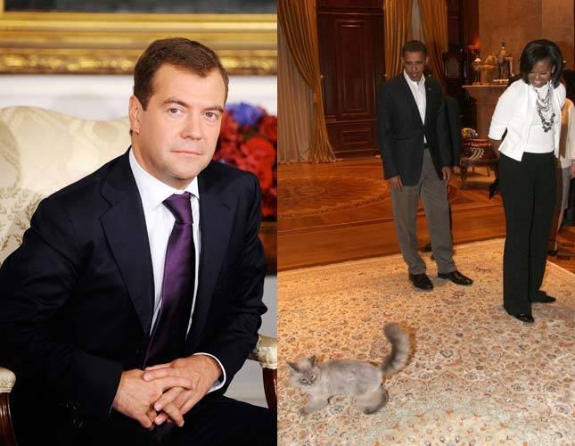 Krievijas prezidenta Dmitrija... Autors: Hamsters1 Slavenības un viņu kaķi.