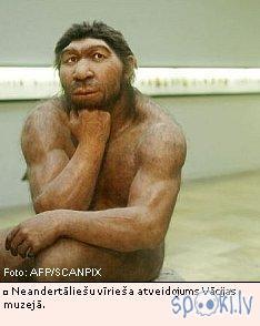  Autors: Sheep Kas notika ar neandertaliešiem???