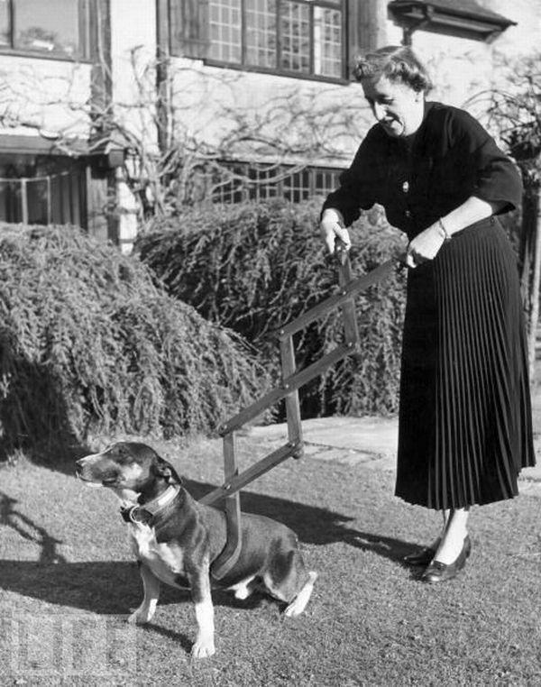 Suņu ķērājs 1940 Autors: dea nejēdzīgi izgudrojumi.