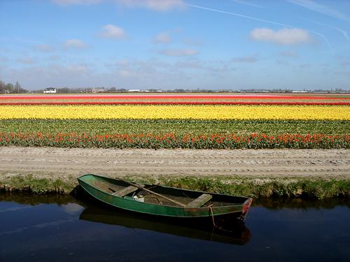 Keukenhof dārzs Atrodas... Autors: Fosilija 12 satriecošākie pasaules dārzi