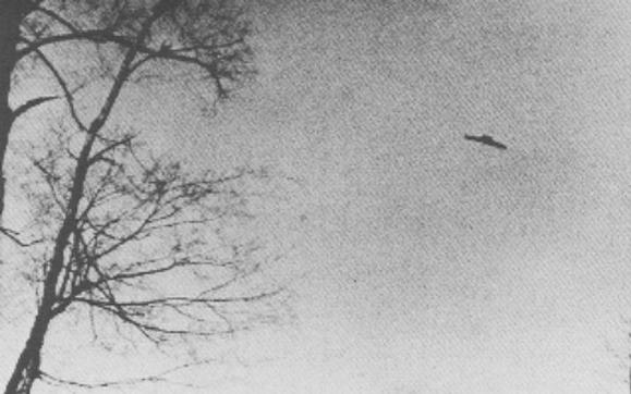 January 1 1967    Mahwah New... Autors: posts UFO Photographs 1910-2008