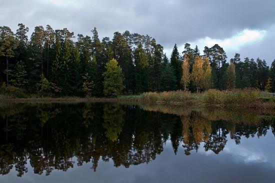  Autors: Mincīte1987 Kandava