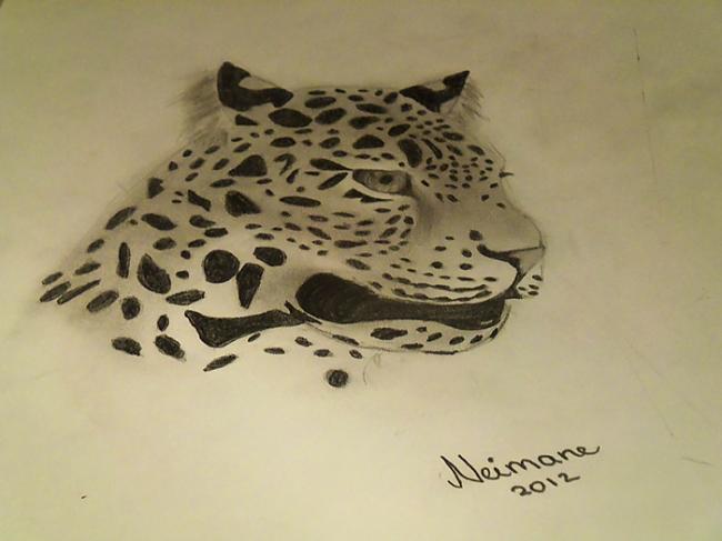 Šāda pat veidā arī var uzzīmēt... Autors: Hamsters1 Kā uzzīmēt leopardu.