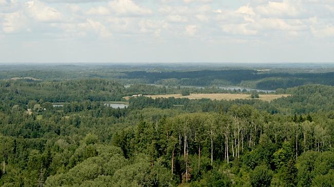  Autors: Fosilija Latvijas Daba