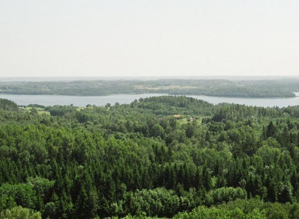  Autors: Fosilija Latvijas Daba