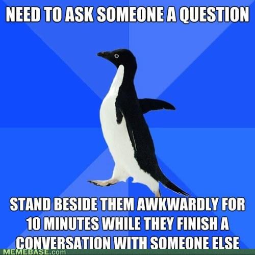  Autors: ki6ka Socially Awkward Penguin