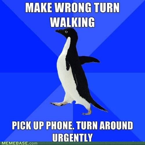  Autors: ki6ka Socially Awkward Penguin