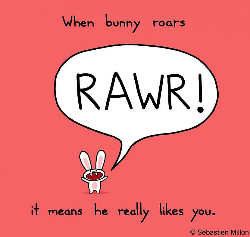 nbspThe good news Bunny really... Autors: awoken Chronically sick, but still thinking VIII