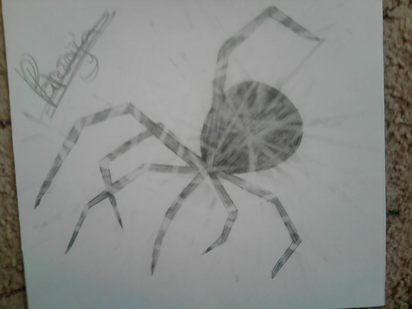 Dzēselēts zirneklis Varēju... Autors: Gossip Batman Mani zīmējumi.