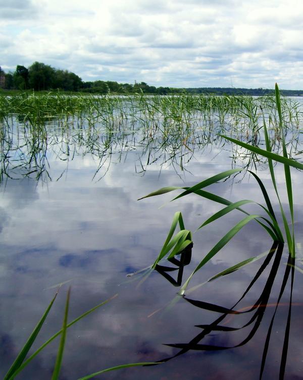  Autors: Fosilija Latvija,ezeri.Balvu ezers.