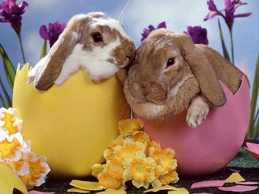 Happy Easter day Autors: Jāņa oga Lieldienu olas no dzijas!