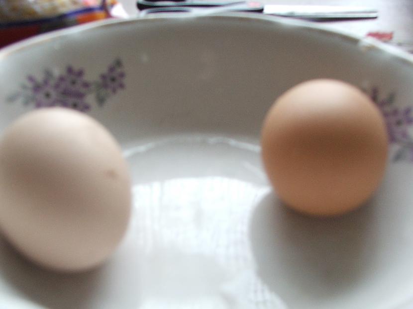 Protams vajadzēs arī olas DD Autors: Fosilija Kā es lieldienās olas krāsoju