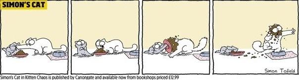  Autors: Benders03 simon's cat in kitten chaos