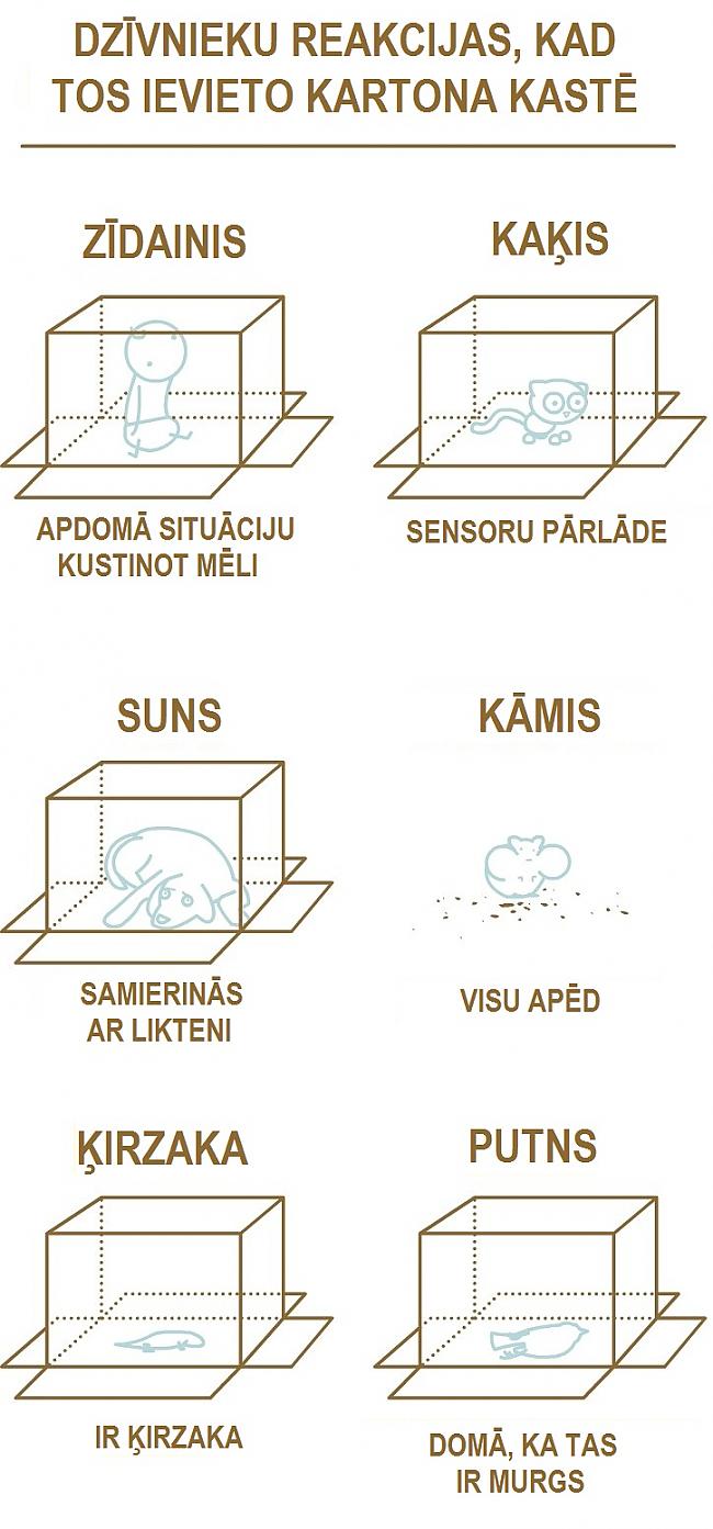  Autors: Gaindeaje Jautrākai dienai! 6